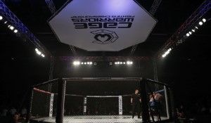 Civil Court Verdict: Nikita Hand Triumphs Against Conor McGregor