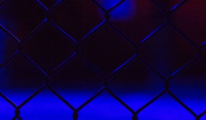 Dricus du Plessis: South African Sensation Dominates UFC Middleweight Division